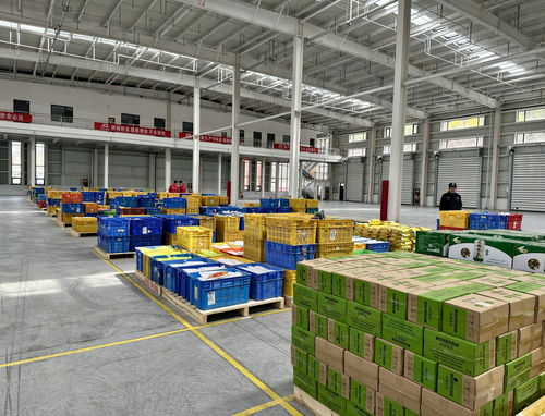 陜北首家京東物流電商倉在米脂投運 榆林農特產品駛入數字快車道